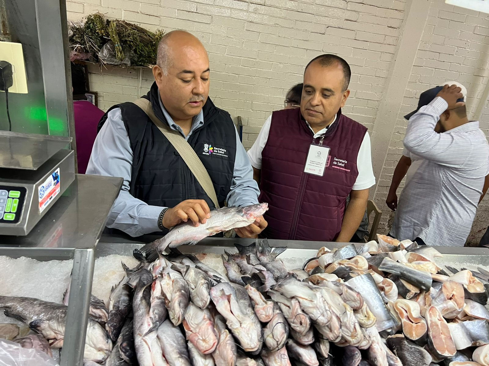 Supervisan calidad de pescados y mariscos en el mercado 