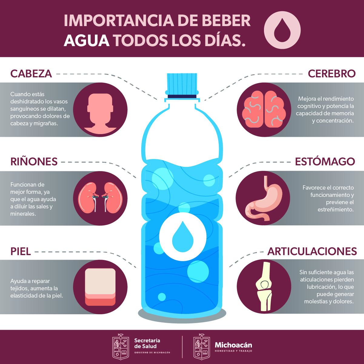 La importancia de beber agua - Blog Conectando Pacientes