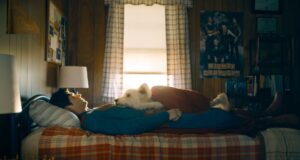 efecto Krypto adopción perros