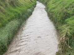 Lluvia deja acumulación excesiva en sólo 20 minutos