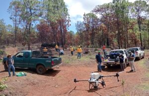 Dispersan 12 mil semillas en Pátzcuaro para restaurar el Estribo Grande