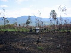 Drones reforestan las zonas más inaccesibles de Michoacán con programa Bio Renace