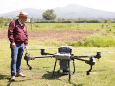 Con tecnología de drones, Michoacán dispersará 200 mil semillas forestales