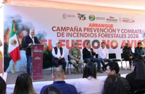 Michoacán redujo más del 60% la superficie afectada por incendios forestales