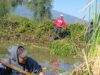 Con obras de conservación, Programa de Empleo Temporal blinda al lago de Pátzcuaro