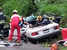 Un muerto y tres heridos tras la caída de un árbol sobre un taxi