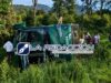 Volcadura de autobús en la Uruapan–Paracho deja al menos 10 lesionados