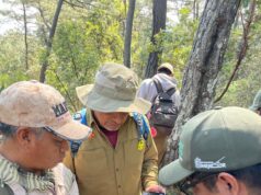 Cámaras trampa captan la vida silvestre en bosques de Michoacán