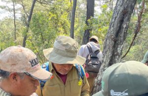 Cámaras trampa captan la vida silvestre en bosques de Michoacán