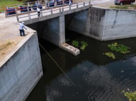 SE DA CONTINUIDAD A LIMPIEZA DEL RÍO LERMA EN LA PIEDAD