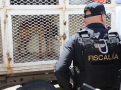 En un semestre, FGE logra el rescate y resguardo de cerca de 360 animales en Michoacán