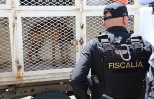 En un semestre, FGE logra el rescate y resguardo de cerca de 360 animales en Michoacán