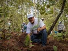 Medio ambiente, deporte y cultura, trascendentales para la transformación de Michoacán