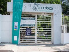 INVITA GOBIERNO MUNICIPAL A DISFRUTAR ZOOLÓGICO Y PARQUES MUNICIPALES