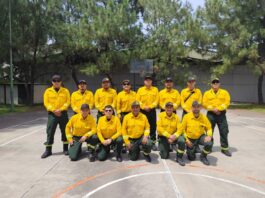 Gobierno de México moviliza segundo contingente de combatientes forestales para apoyar a Canadá