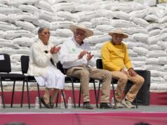 Más de 520 mdp para fortalecer la producción de maíz en Michoacán