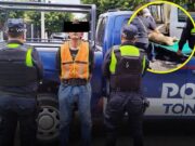 Detienen a hombre señalado por cortar la cola de un perro con un cuchillo en Tonalá