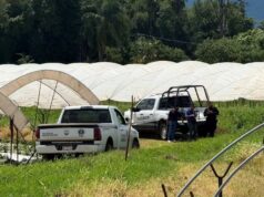 Localizan a pareja asesinada en zona agrícola de Jacona