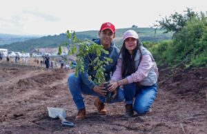 Reforesta SCOP el segundo anillo periférico de Morelia con más de 36 mil árboles endémicos