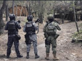 Asesinan a dos agentes de la SSPC durante ataque armado en Veracruz