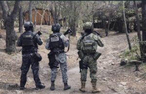 Asesinan a dos agentes de la SSPC durante ataque armado en Veracruz