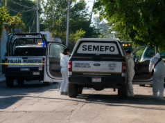 Hermanos son asesinados a balazos en su domicilio de Zamora; bebé resulta lesionada