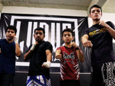 5 peleadores de Ludus a contender en evento de Valle de Santiago