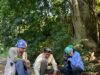 INAH confirma 50 huellas de dinosaurios en Apatzingán, Michoacán