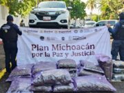 Guardia Civil asegura 250 kilos de marihuana y un vehículo en Arteaga
