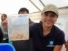 Suman 215 mil ejemplares de pez blanco liberados en el lago de Pátzcuaro