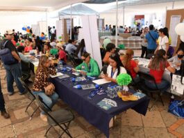 Ofrecerán más de 1,200 vacantes en la Feria de Empleo para Grupos Vulnerables