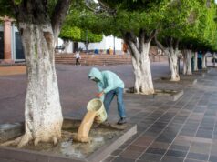 ATIENDE GOBIERNO DE LA PIEDAD ARBOLADO DE LA PLAZA PRINCIPAL