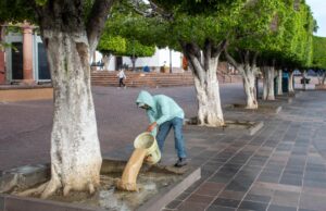ATIENDE GOBIERNO DE LA PIEDAD ARBOLADO DE LA PLAZA PRINCIPAL