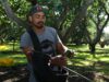 Productores de aguacate no están obligados a tramitar el certificado laboral
