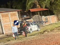 Muere adulto mayor tras ataque de abejas, en la colonia Morelos